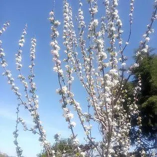 Appartement La Cascina Di Muttley